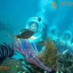 Nha Trang City Scuba Diving Adventure & Seaside Tour - What to Expect: From Land to Underwater