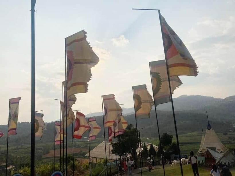 Nha Trang-Da Lat Day Trip: Explore Mongo & Donki Land - The Practicalities: What You Need to Know