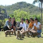 Nha Trang: Entry Ticket to Monkey Island - The Island’s Condition: A Mixed Bag