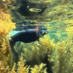 Nha Trang Half-Day Snorkeling Adventure at Marine Park with BBQ - Practical Details and Considerations