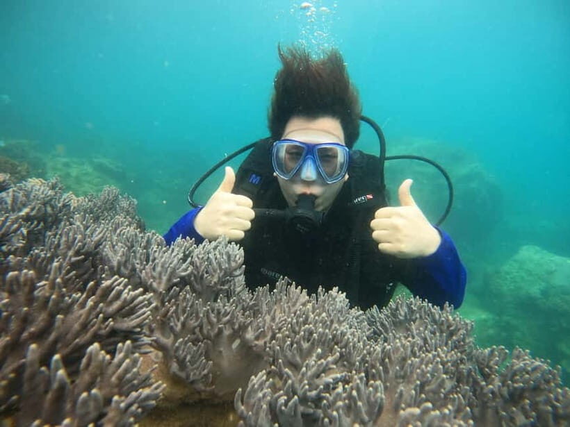 Nha Trang: Private Scuba Diving Experience with Lunch - What to Expect During the Tour