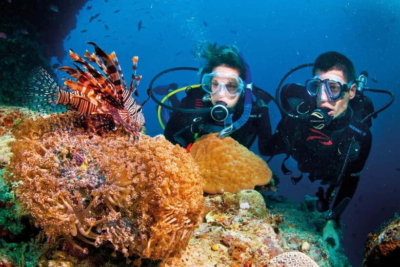 Nha Trang: Scuba Diving Tour with Lunch and Drinks - What Makes This Tour Stand Out?