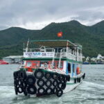 Nha Trang: Snorkeling Tour with BBQ Lunch at Coral Reef - What’s Included and What You Need to Know