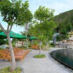 Nha Trang Speedboat Tour Plus Mud Bath On Hon Tam Island - What to Expect from the Tour