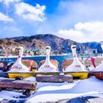 Nikko: Customizable Private City Tour with Driver/Guide - Practical Tips