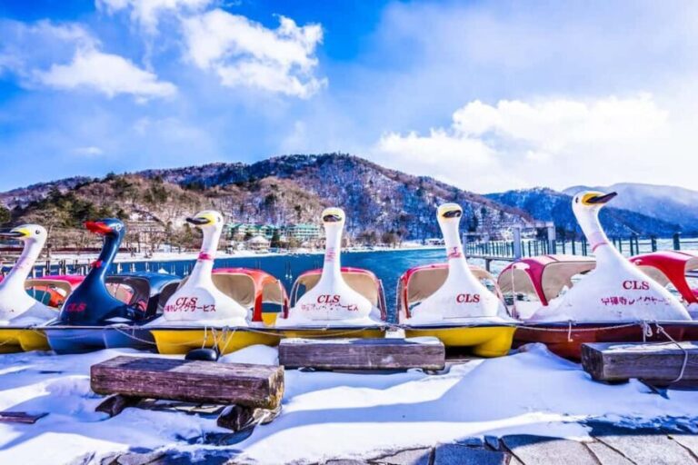 Nikko: Customizable Private City Tour with Driver/Guide - Practical Tips