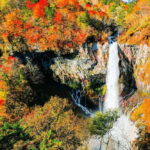 Nikko Day Tour from Tokyo with English Speaking Driver - What Travelers Say