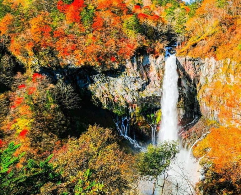 Nikko Day Tour from Tokyo with English Speaking Driver - What Travelers Say