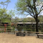 Nikko Private Tour With English Speaking Driver - Why Choose This Tour?