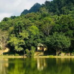 Ninh Binh : Cuc Phuong National Park One Day Group Tour - Key Points