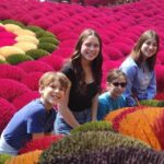 Ninh Binh From Hanoi Via Incense Village Small Group of 9 - Transportation, Group Size, and Overall Value