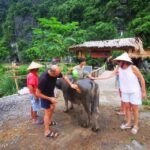 Ninh Binh: Motorbike Tour with Pagoda & Countryside Villages - Transportation and Group Size