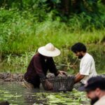 Ninh Binh: Rice planting and fishing by basket tour - Meeting Point & Practical Info