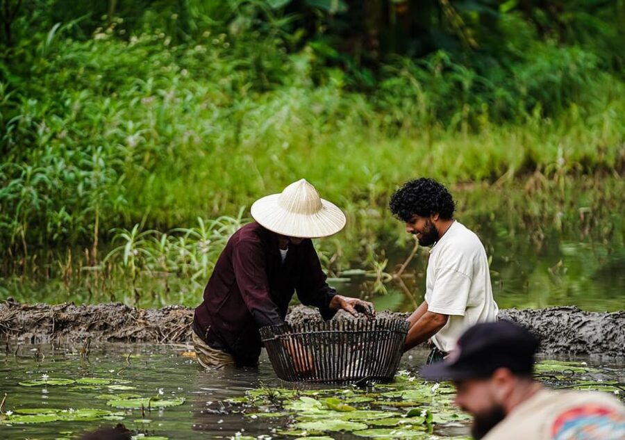 Ninh Binh: Rice planting and fishing by basket tour - Meeting Point & Practical Info