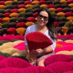 Ninh Binh Small Group Of 9 From Hanoi Via Incense Village - Food and Additional Inclusions