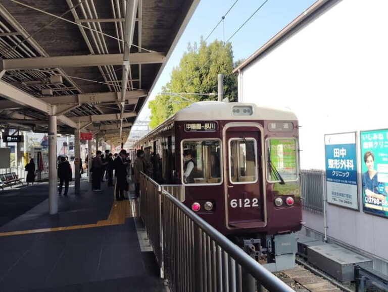 Nishinomiya: Haruhi Suzumiya Anime Locations Guided Tour - Starting Point: Nishikita Park & Meeting Your Guide