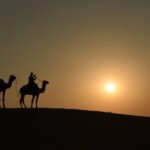 Nomadic Non-Touristic Overnight Camel & Desert Safari Tour - The Itinerary: A Day in the Desert