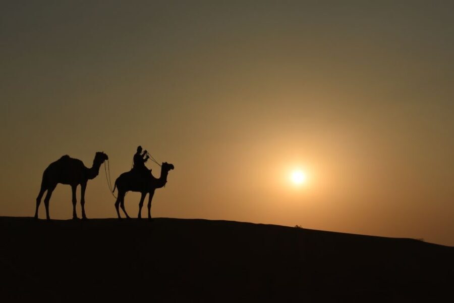 Nomadic Non-Touristic Overnight Camel & Desert Safari Tour - The Itinerary: A Day in the Desert