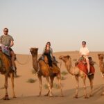 Non-Touristic Overnight Camel Safari with Stargazing Hidden Tour In Desert - Practical Details and What to Expect