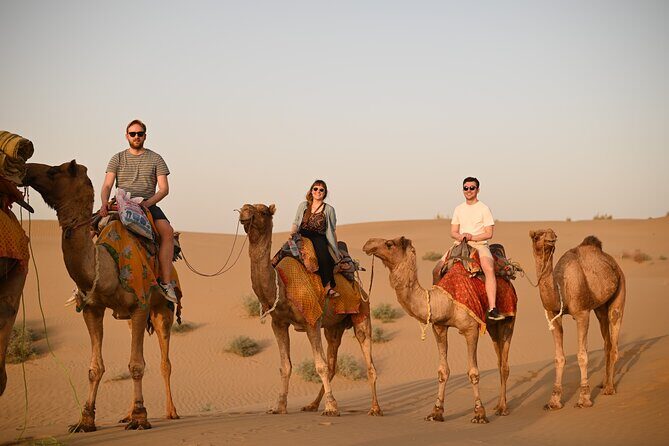 Non-Touristic Overnight Camel Safari with Stargazing Hidden Tour In Desert - Practical Details and What to Expect