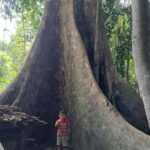 Nong Khiaw: Discover Hmong Village & Muangnoi - Who Is This Tour Best Suited For?