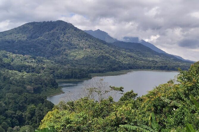 North Bali Private Tour - All Inclusive - An In-Depth Look at the North Bali Private Tour