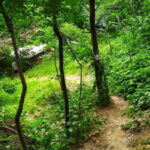 Nuratau Mountain Villages Tour on 3 Days from Bukhara. - What’s Included and What To Consider