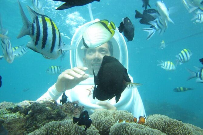 Nusa Penida Trip with Snorkeling all-Inclusive - The Sum Up: Who Should Book This Experience?