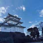 Odawara: Castle Guided Tour with Panoramic Views - Who Will Love This Tour?