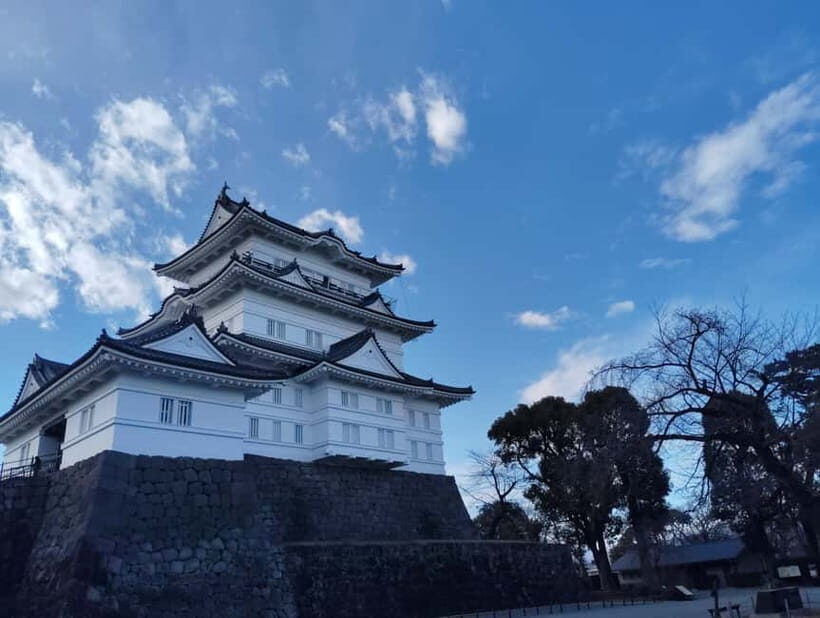 Odawara: Castle Guided Tour with Panoramic Views - Who Will Love This Tour?