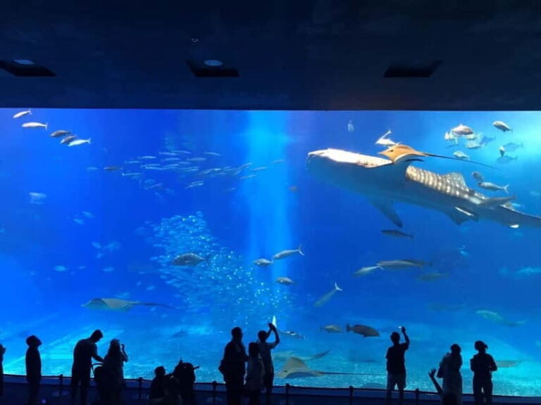 Okinawa: Aquarium, Kouri Island, & American Village Bus Tour - What to Expect and Practical Tips