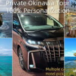 Okinawa Classic Highlights & Flexible Routes: Private Tour - Who Should Consider This Tour?