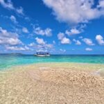 Okinawa Iriomotejima Night Adventure Tour - The Experience in Detail