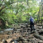 Okinawa: Jungle Trails & Waterfalls Native-English Private - Detailed Itinerary Breakdown