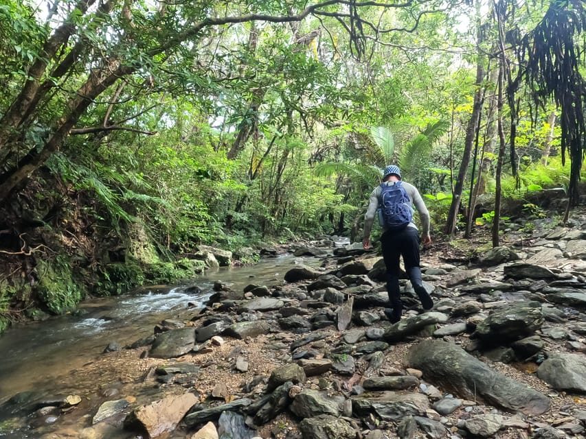 Okinawa: Jungle Trails & Waterfalls Native-English Private - Detailed Itinerary Breakdown