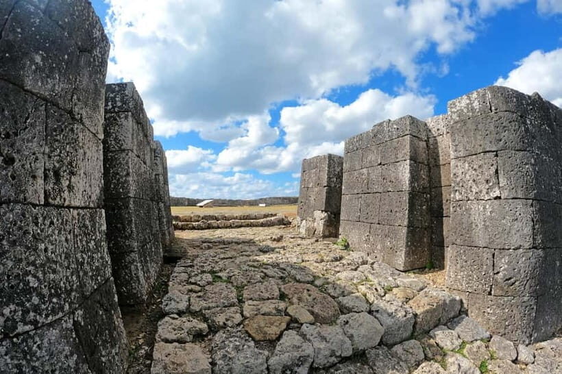 Okinawa: Katsuren Castle Ruins and Museum Guided Tour - What the Reviews Say