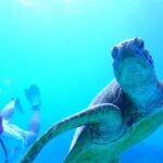 Okinawa : Kerama Whole Day Snorkeling Tour From Chatan/Naha - An In-Depth Look at the Tour Experience