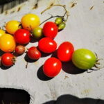 Okinawa: Market Tour and Cooking Class with a Chef - Detailed Breakdown of the Tour Experience