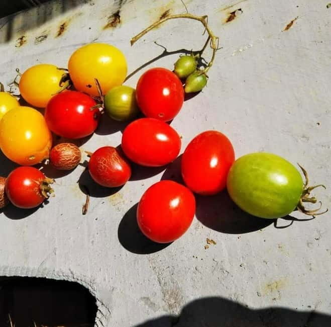 Okinawa: Market Tour and Cooking Class with a Chef - Detailed Breakdown of the Tour Experience