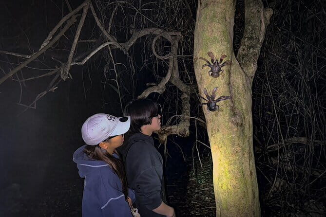 Okinawa Miyako Starry Sky Jungle Exploration Tour - Who Should Consider This Tour?