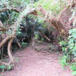 Okinawa: Sacred Island Tour to Kudakas Ryukyuan Holy Sites - Exploring the Sacred Journey: A Detailed Review