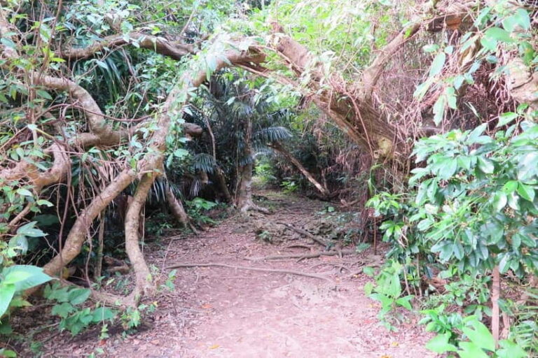 Okinawa: Sacred Island Tour to Kudakas Ryukyuan Holy Sites - Exploring the Sacred Journey: A Detailed Review