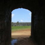 Okinawa: Zakimi Castle and Yuntanza Museum Heritage Tour - Exploring Okinawa’s Heritage on the Zakimi & Yuntanza Museum Tour