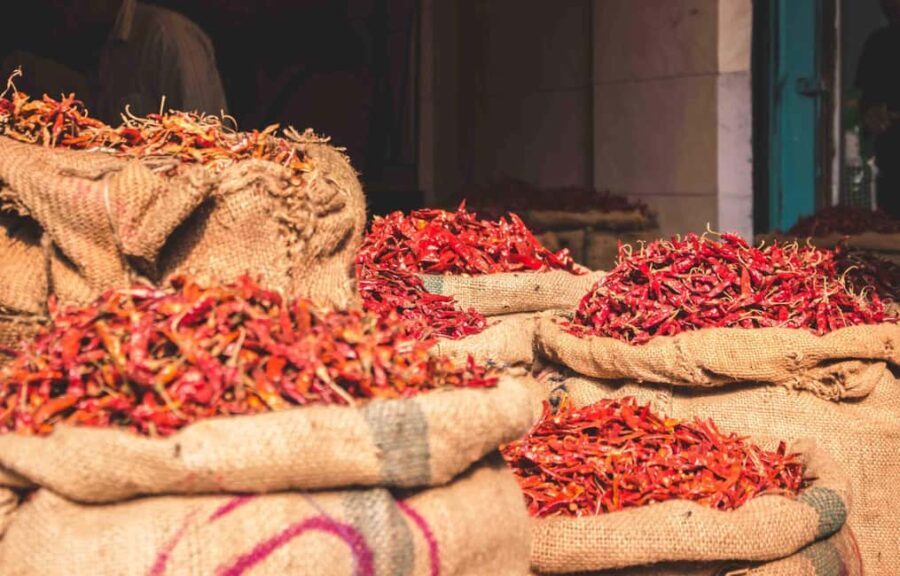 Old Delhi Private Tour: Chandni Chowk, Red Fort & Raj Ghat - Who Is This Tour Best For?