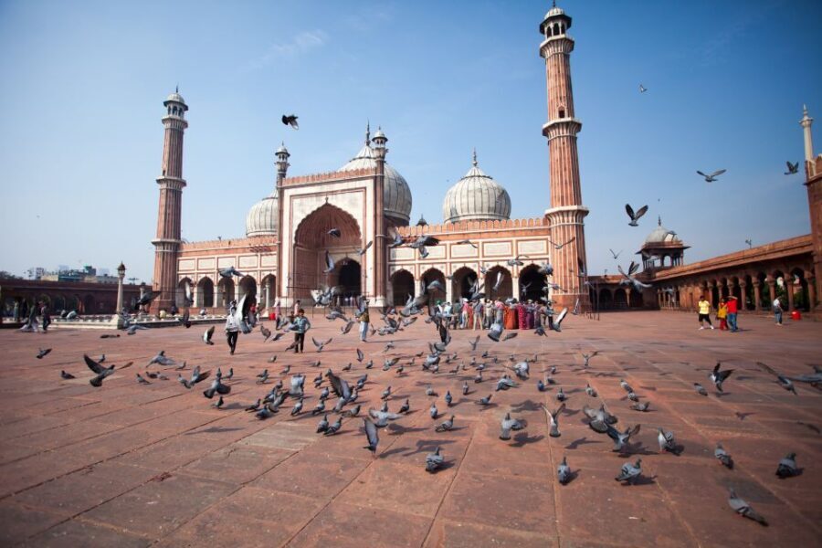 Old & New Delhi City Tour  Half or Full Day Options - Practical Details and Value