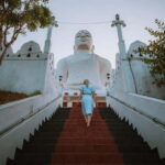 One Day Kandy Kingdom City Tour - Practical Details and Value