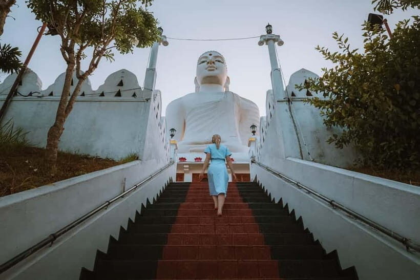 One Day Kandy Kingdom City Tour - Practical Details and Value