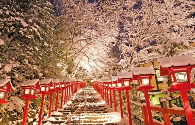 One Day Private Customized Self-Guided Tour in Kyoto - Deep Dive into the Itinerary Options