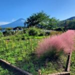 One Day Private Tour of Mount Fuji - The Value of This Tour: What Makes It Stand Out
