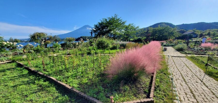 One Day Private Tour of Mount Fuji - The Value of This Tour: What Makes It Stand Out